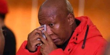 Julius Malema Mourns as EFF Leaders Rush to Comfort Him Following Family Tragedy
