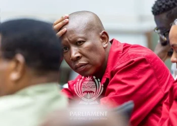 Malema Defends Adams at Committee Hearing: ‘There’s Nothing Wrong You Have Done’