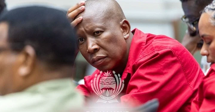 Malema Defends Adams at Committee Hearing: ‘There’s Nothing Wrong You Have Done’