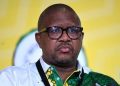 I Received Threats From Senior ANC Officials & MPs After Testifying Against Mbalula Witness F Says