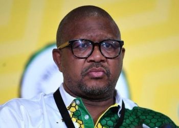 I Received Threats From Senior ANC Officials & MPs After Testifying Against Mbalula Witness F Says