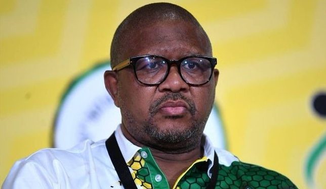 I Received Threats From Senior ANC Officials & MPs After Testifying Against Mbalula Witness F Says