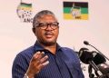 Fikile Mbalula Slams Gerrie Nel and AfriForum: “Big Clowns Playing With Words”