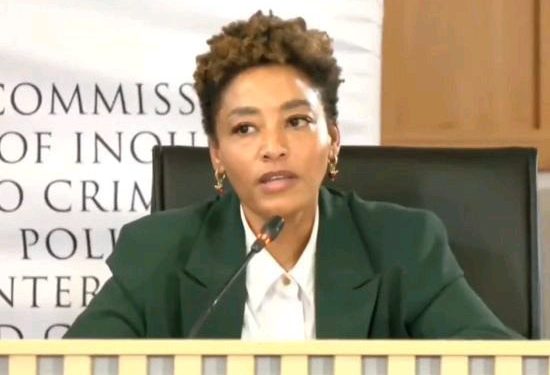 “Julius Malema, Why Would You Be Afraid To Mention A Politician’s Name?” Advocate Segeels-Ncube Asks