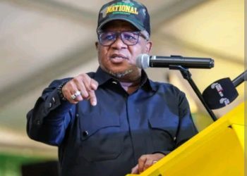 “Take Charge of the Narrative”: Fikile Mbalula Questions ANCYL’s Silence in Digital Battles With EFF