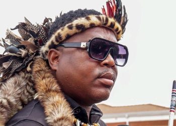 Controversial Ngizwe Mchunu Tells Panyaza Lesufi Illegal Foreigners Must Go