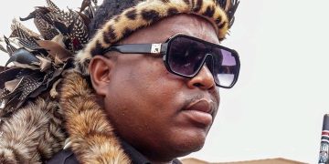 Controversial Ngizwe Mchunu Tells Panyaza Lesufi Illegal Foreigners Must Go