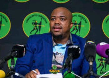 “Duduzile And Duduzane Who Are born In Mozambique Want To come Here To Rule Us” Nomvalo Hit Out