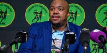 “Duduzile And Duduzane Who Are born In Mozambique Want To come Here To Rule Us” Nomvalo Hit Out