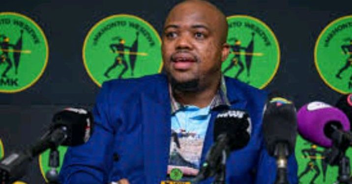 “Duduzile And Duduzane Who Are born In Mozambique Want To come Here To Rule Us” Nomvalo Hit Out