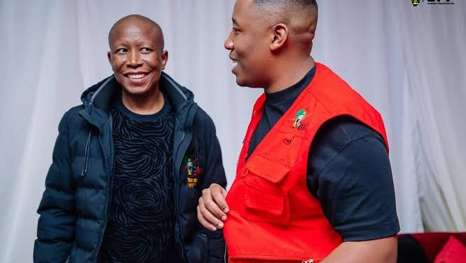 Ratanang Malema Sparks Outrage After Calling For The Downfall Of Afrikaans Following Father’s Jail