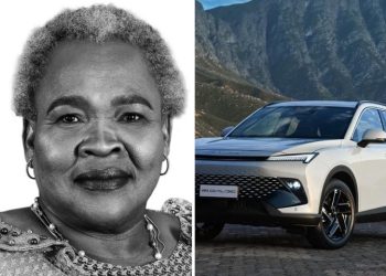 Social Development Minister Sisisi Tolashe faces mounting allegations and parliamentary probe