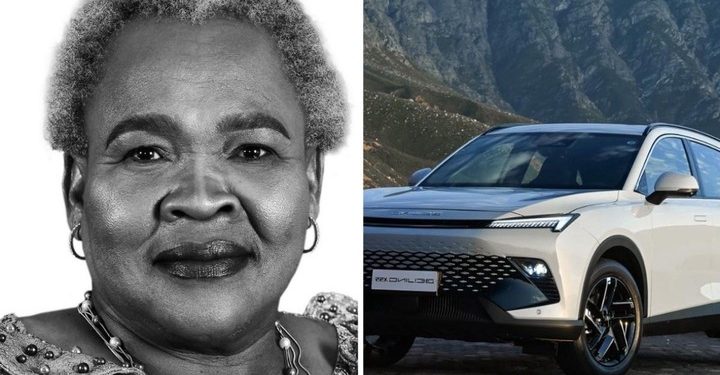 Social Development Minister Sisisi Tolashe faces mounting allegations and parliamentary probe