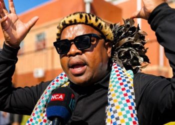 Ngizwe Mchunu Under Fire Again as Comments on Foreign Nationals Ignite Heated Online Debate