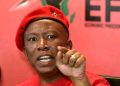 “April Unrest?” Dudu Zuma Threatens An Unrest If Malema Is Arrested For Gun Charges (Allegedly)