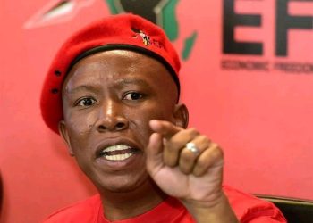 “April Unrest?” Dudu Zuma Threatens An Unrest If Malema Is Arrested For Gun Charges (Allegedly)
