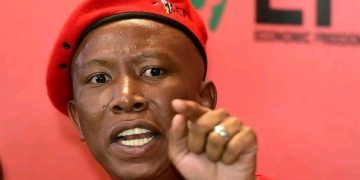 “April Unrest?” Dudu Zuma Threatens An Unrest If Malema Is Arrested For Gun Charges (Allegedly)
