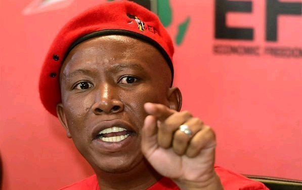 “April Unrest?” Dudu Zuma Threatens An Unrest If Malema Is Arrested For Gun Charges (Allegedly)