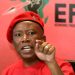 “April Unrest?” Dudu Zuma Threatens An Unrest If Malema Is Arrested For Gun Charges (Allegedly)