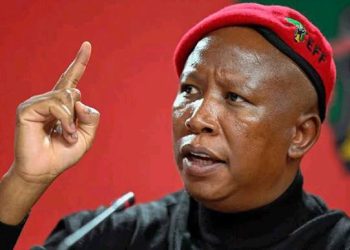 Presidency Responds to Malema on Fort Hare Academic Fraud Probe
