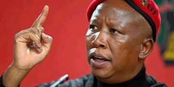 Presidency Responds to Malema on Fort Hare Academic Fraud Probe
