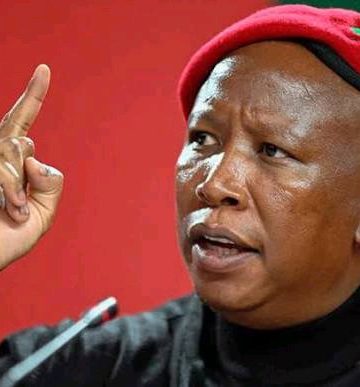 Presidency Responds to Malema on Fort Hare Academic Fraud Probe
