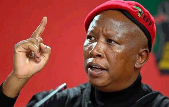 Presidency Responds to Malema on Fort Hare Academic Fraud Probe