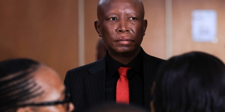 Julius Malema sentenced to five years imprisonment in firearm case