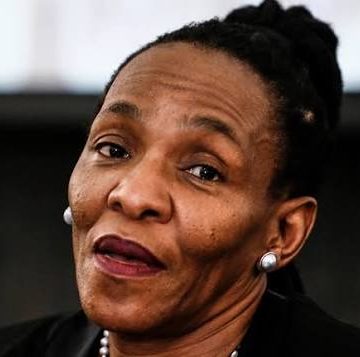 Chief Justice Breaks Silence After Julius Malema Presses Court Over Phala Phala Judgment