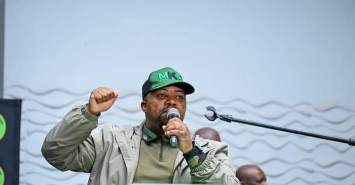 Willies Mchunu to lead MK Party election campaign in KZN