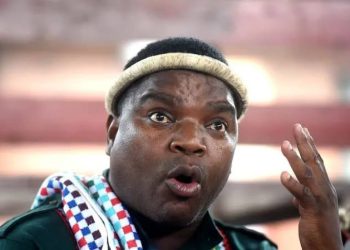 “We Don’t Need You Here” Ngizwe Mchunu Declares WAR On Julius Malema For Supporting Foreigners