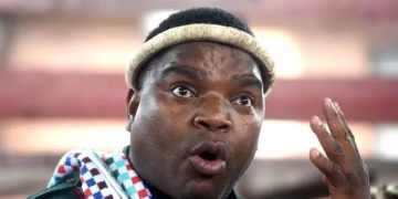 “We Don’t Need You Here” Ngizwe Mchunu Declares WAR On Julius Malema For Supporting Foreigners