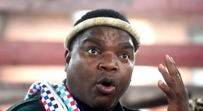 “We Don’t Need You Here” Ngizwe Mchunu Declares WAR On Julius Malema For Supporting Foreigners