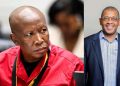 Dali Mpofu Questions Court Process as Malema Case Sparks “Justice System Congestion” Debate