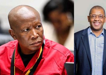 Dali Mpofu Questions Court Process as Malema Case Sparks “Justice System Congestion” Debate