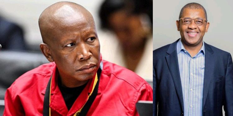 Dali Mpofu Questions Court Process as Malema Case Sparks “Justice System Congestion” Debate