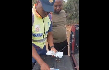 Officer Rejects R10,000 Bribe in Major Cannabis Bust
