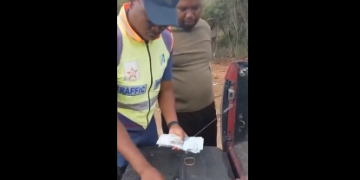 Officer Rejects R10,000 Bribe in Major Cannabis Bust