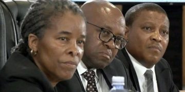 Why the Mandlanga Commission Must Enter Home Affairs Immediately to Stop the Chaos