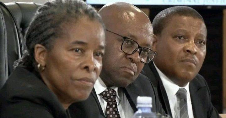 Why the Mandlanga Commission Must Enter Home Affairs Immediately to Stop the Chaos