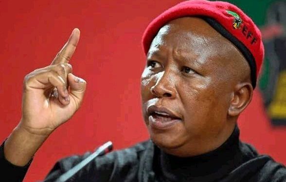 Media Clash: EFF Calls Out Newzroom Afrika Over Finance MEC Reporting