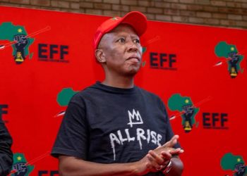 Tembeka Ngcukaitobi Makes Last-Minute Plea to Prevent Julius Malema’s Imprisonment