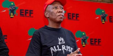 Tembeka Ngcukaitobi Makes Last-Minute Plea to Prevent Julius Malema’s Imprisonment