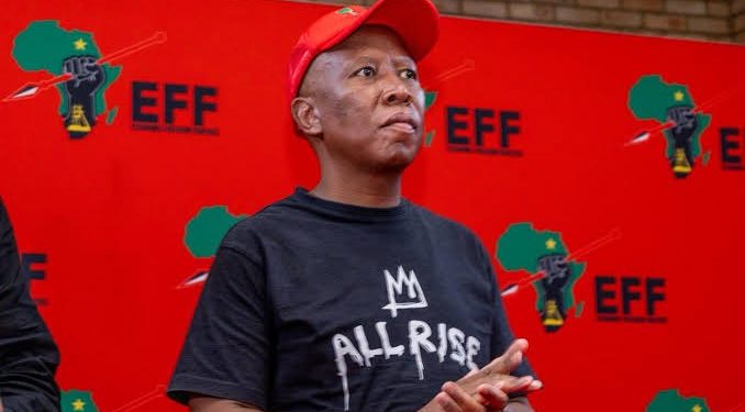 Tembeka Ngcukaitobi Makes Last-Minute Plea to Prevent Julius Malema’s Imprisonment