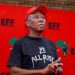 Tembeka Ngcukaitobi Makes Last-Minute Plea to Prevent Julius Malema’s Imprisonment