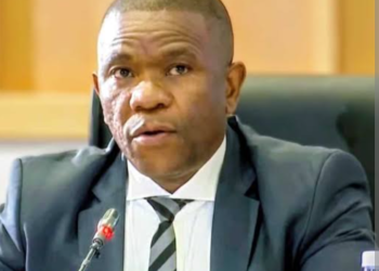 “The ‘Big 5’ Have Been Identified & Will Be Neutralised Soon” – Mkhwanazi Signals Imminent Crackdown
