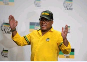 Mbalula and Team Face High Court Reckoning Over Eastern Cape Conference Chaos