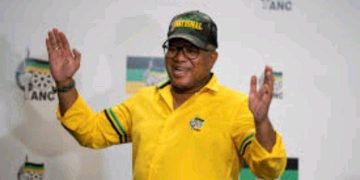 Mbalula and Team Face High Court Reckoning Over Eastern Cape Conference Chaos