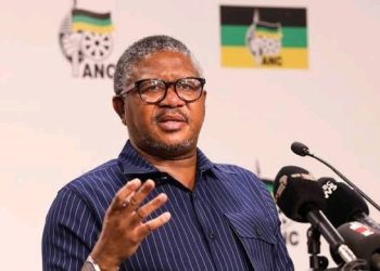 Fikile Mbalula Slams Gerrie Nel and AfriForum: “Big Clowns Playing With Words”