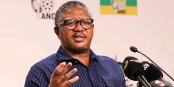 Fikile Mbalula Slams Gerrie Nel and AfriForum: “Big Clowns Playing With Words”